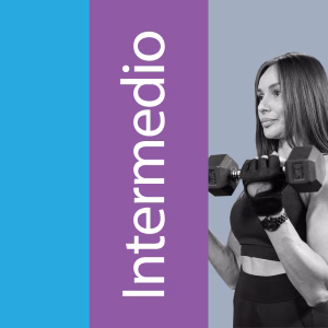 Plan intermedio