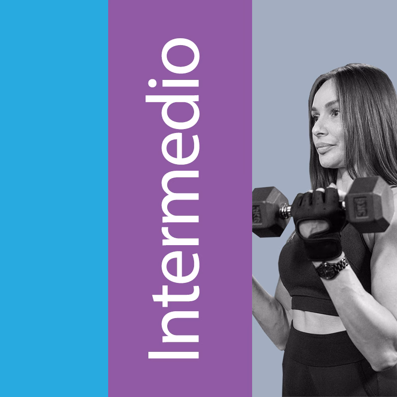 Plan intermedio